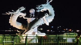 제주농부님의 배추 · 일상 작성글 사진