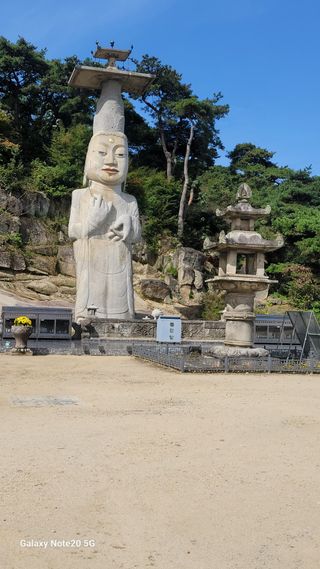 제주농부님의 배추 · 일상 작성글 사진