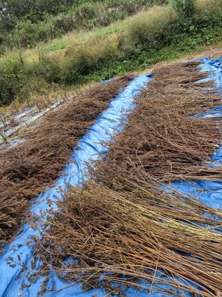 이종규님의 10월 농사 성적 자랑하기 · 참여글 작성글 사진