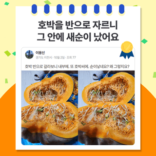 팜모닝 베스트님의 팜모닝공식 · 팜모닝 베스트 작성글 사진