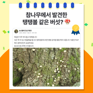 팜모닝 베스트님의 팜모닝공식 · 팜모닝 베스트 작성글 사진