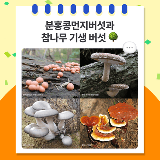 팜모닝 베스트님의 팜모닝공식 · 팜모닝 베스트 작성글 사진