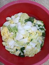 팜모닝 자유주제·자유게시판 게시글 이미지