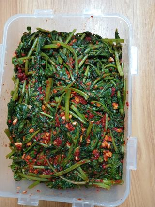 이상애초보농업님의 자유주제 · 자유게시판 작성글 사진