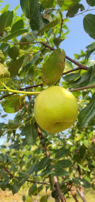 이은하님의 10월 농사 성적 자랑하기 · 참여글 작성글 사진