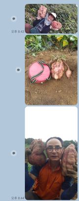 팜모닝 10월 농사 성적 자랑하기·참여글 게시글 이미지