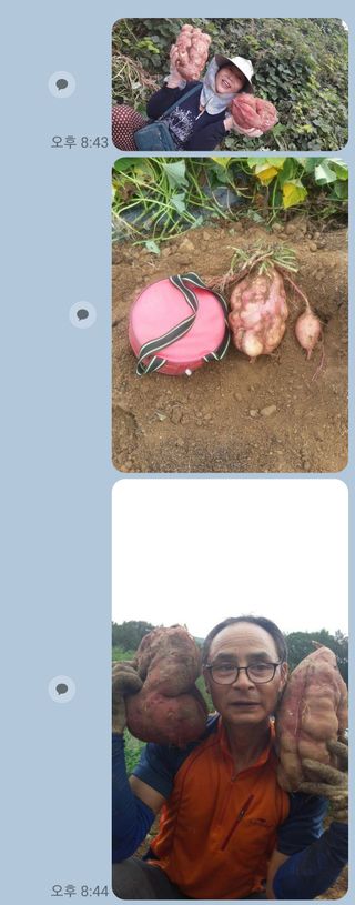 규수김님의 10월 농사 성적 자랑하기 · 참여글 작성글 사진