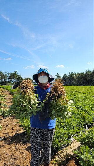 김은아님의 10월 농사 성적 자랑하기 · 참여글 작성글 사진