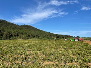 김은아님의 10월 농사 성적 자랑하기 · 참여글 작성글 사진