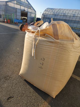 전주치유농정명숙님의 10월 농사 성적 자랑하기 · 참여글 작성글 사진