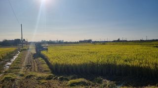 전주치유농정명숙님의 10월 농사 성적 자랑하기 · 참여글 작성글 사진