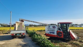 전주치유농정명숙님의 10월 농사 성적 자랑하기 · 참여글 작성글 사진