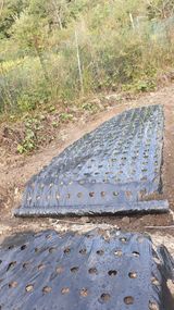 팜모닝 양파·자유게시판 게시글 이미지