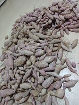 팜모닝 고구마·자유게시판 게시글 이미지