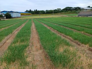 구춘모님의 10월 농사 성적 자랑하기 · 참여글 작성글 사진