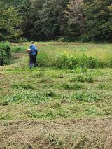 팜모닝 기타작물·영농일지 게시글 이미지