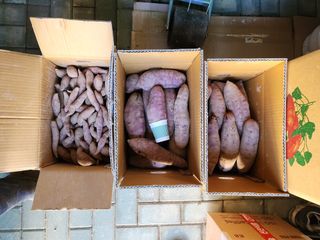 금제섭님의 작성글 사진
