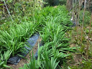 유위정님의 자유주제 · 자유게시판 작성글 사진