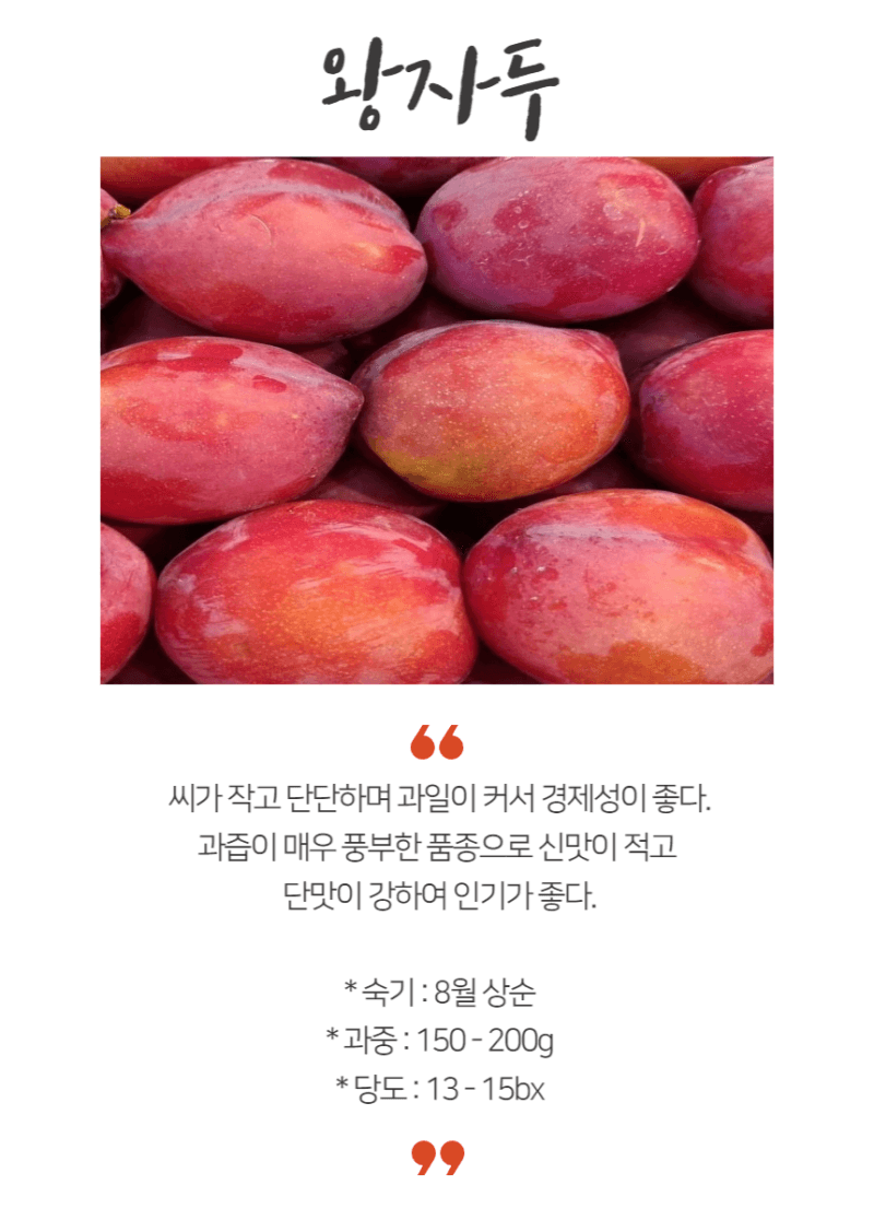 장터 상품 [왕자두 3년생 결실주 분묘] 썸네일