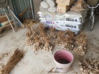 전원수님의 작성글 사진