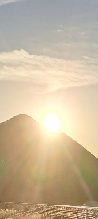 콩18930님의 기타작물 · 자유게시판 작성글 사진