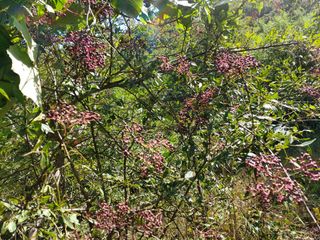 강미화님의 자유주제 · 자유게시판 작성글 사진