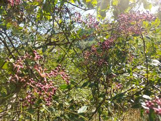 강미화님의 자유주제 · 자유게시판 작성글 사진