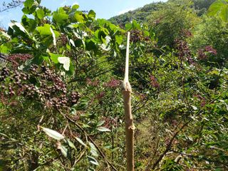 강미화님의 자유주제 · 자유게시판 작성글 사진