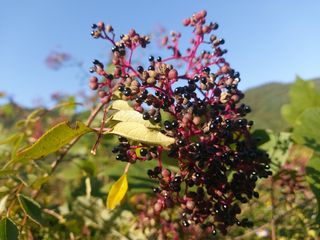 강미화님의 자유주제 · 자유게시판 작성글 사진