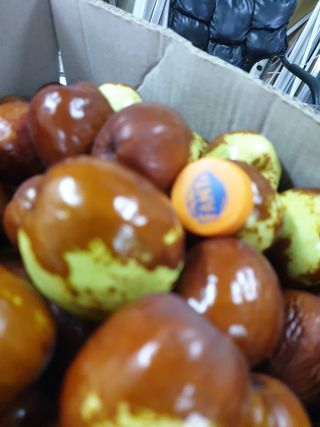 가인 5362님의 자유주제 · 자유게시판 작성글 사진