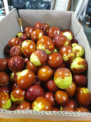 가인 5362님의 자유주제 · 자유게시판 작성글 사진