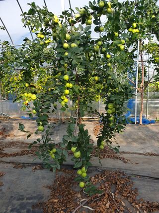 가인 5362님의 자유주제 · 자유게시판 작성글 사진