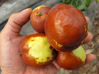 가인 5362님의 자유주제 · 자유게시판 작성글 사진