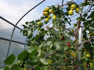 가인 5362님의 자유주제 · 자유게시판 작성글 사진