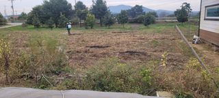 김정은님의 마늘 · 영농일지 작성글 사진