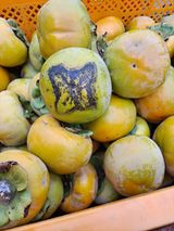 팜모닝 감·자유게시판 게시글 이미지