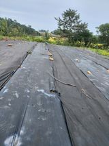 팜모닝 벼·영농일지 게시글 이미지