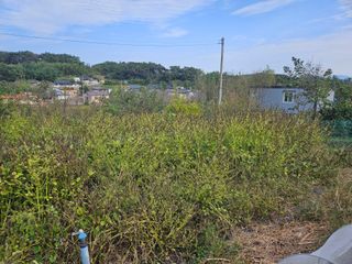 김성진님의 들깨 · 영농일지 작성글 사진