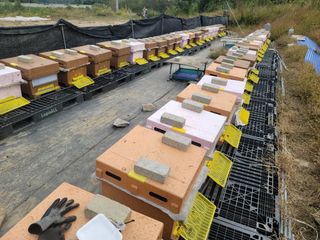 서성환님의 10월 농사 성적 자랑하기 · 참여글 작성글 사진