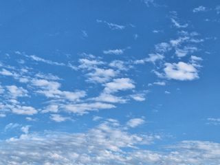 이천쌀님의 벼 · 자유게시판 작성글 사진