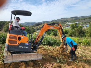 농막쥔님의 고구마 · 자유게시판 작성글 사진