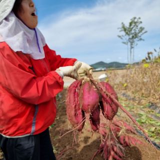 이종권님의 10월 농사 성적 자랑하기 · 참여글 작성글 사진