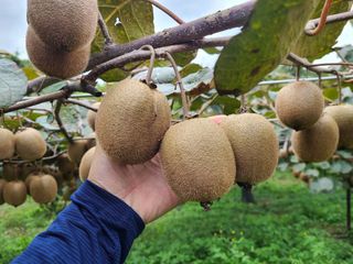 노고단님의 기타작물 · 자유게시판 작성글 사진