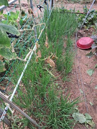 서강훈님의 10월 농사 성적 자랑하기 · 참여글 작성글 사진