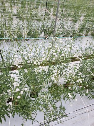 이성자님의 기타작물 · 자유게시판 작성글 사진