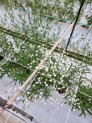 이성자님의 기타작물 · 자유게시판 작성글 사진