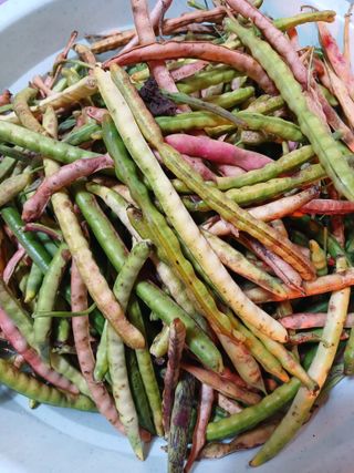 농사정보배우고싶어요님의 자유주제 · 자유게시판 작성글 사진