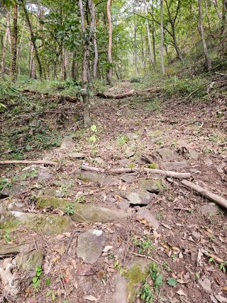 정진필님의 복숭아 · 영농일지 작성글 사진