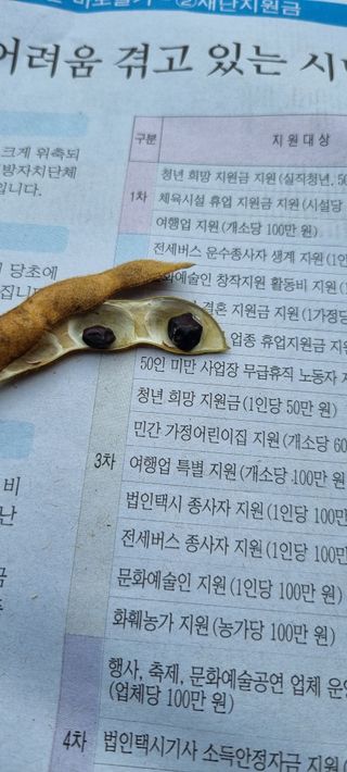 Bjs님의 콩 · 병해충상담 작성글 사진