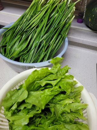 박산숙농부님의 자유주제 · 자유게시판 작성글 사진